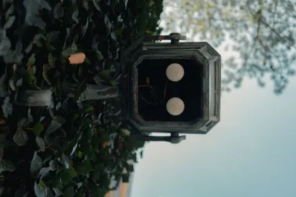 Winmasters Cazino Cazinou Aplicație mobilă